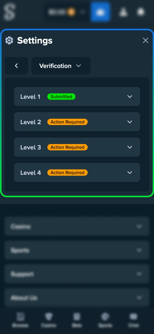Complete your first login and verify your Stake account.