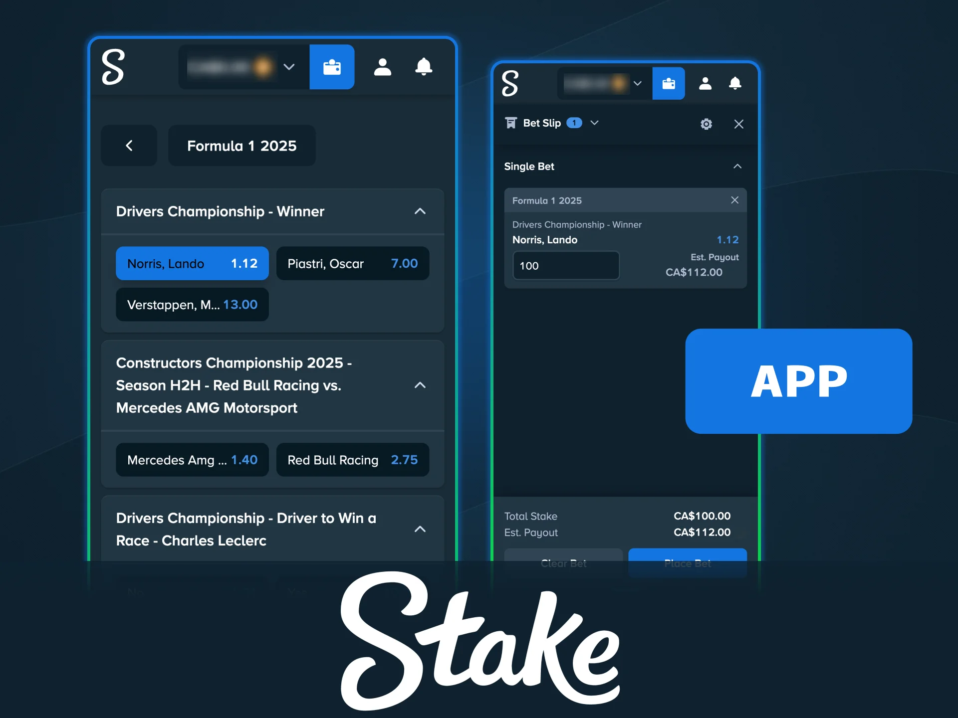 Bet on Formula 1 races anytime through the Stake mobile web app.