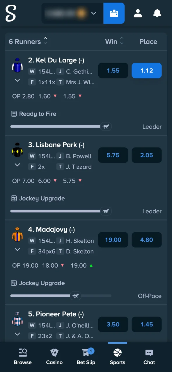 Select a race by date or region at Stake Casino and start betting today.